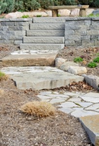 drought-resistant landscaping is an eco-friendly alternative to traditional lawns 