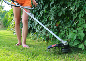 Weed whackers only cut the visible parts of weeds