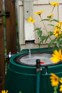 rainwater