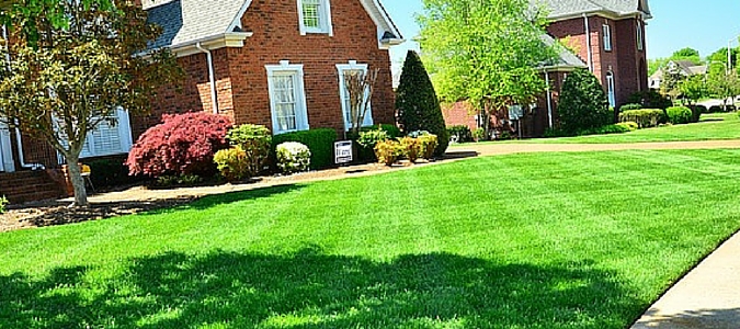 Lawn Fertilization