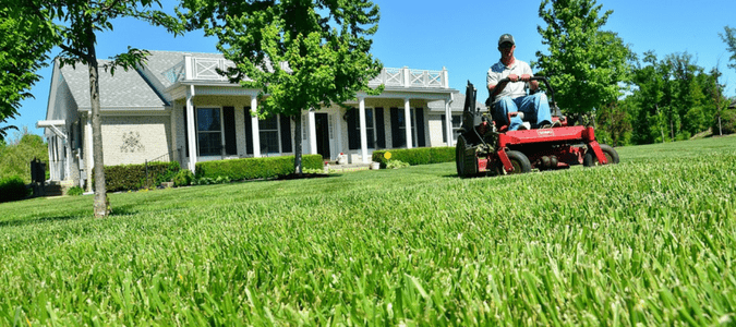 i need someone to mow my lawn