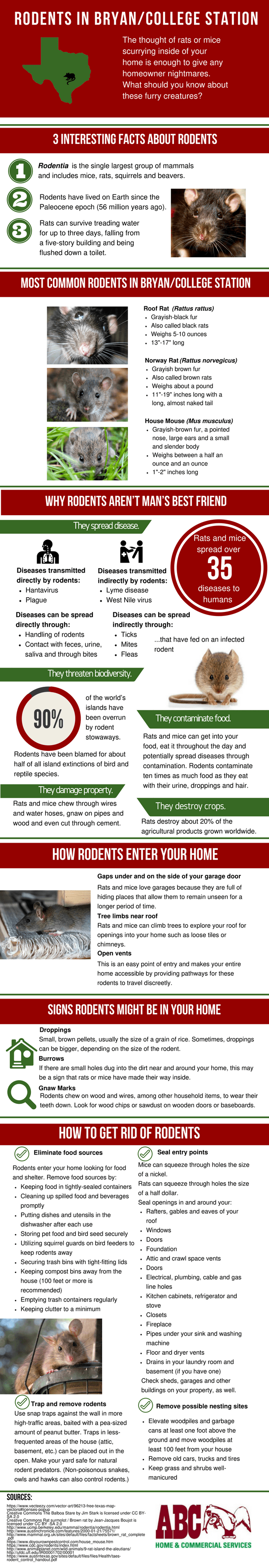 Rodents In Bryan-college Station [infographic] 