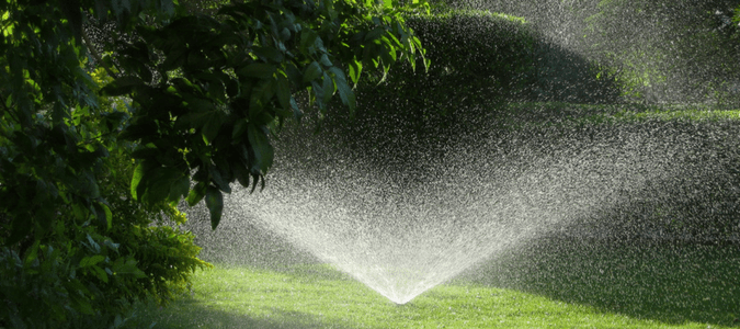 summer lawn care tips