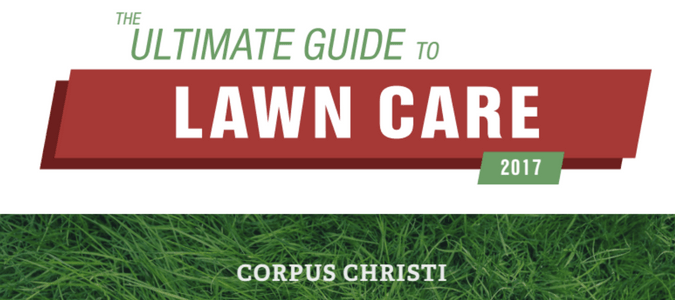 Corpus Christi Lawn Care Guide