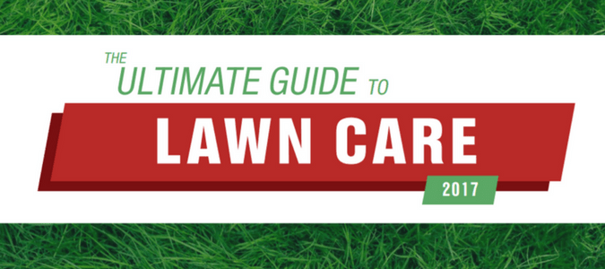 Lawn care tips