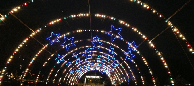 Austin Trail of Lights Tickets