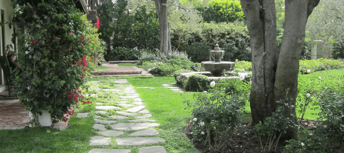 Backyard landscaping Houston