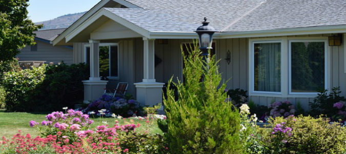 Landscaping Ideas Houston