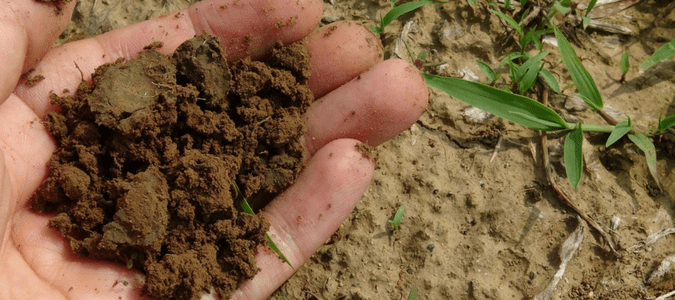 Benefits of composting