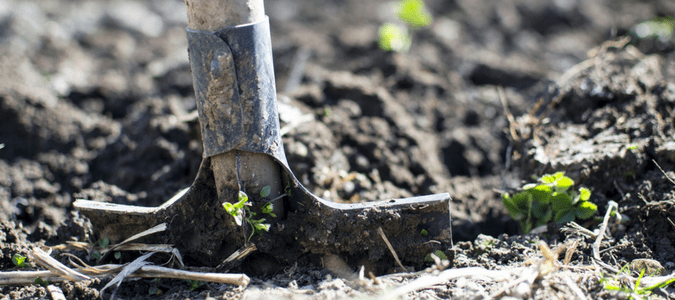 Central Texas gardening calendar