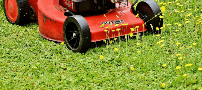 First mowing of season