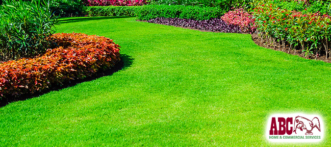 How to Start an Organic Lawn & Garden | National Lawn Care Month