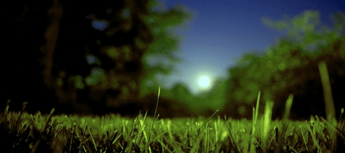 Watering lawn at night