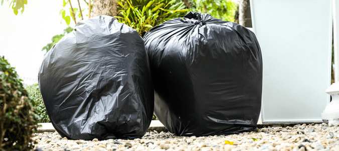 How long do bed bugs live in a plastic bag