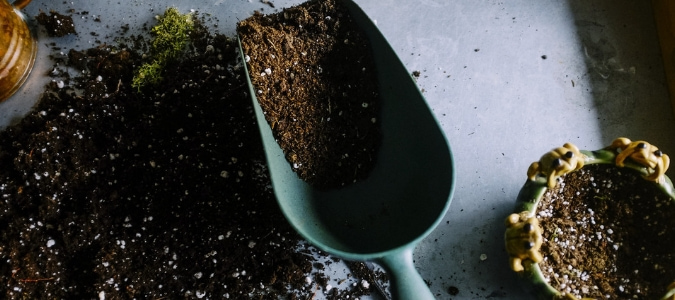 Can I use compost instead of soil 