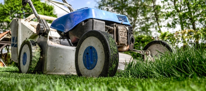 How Short to Cut Grass Before Winter