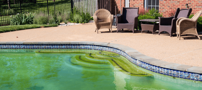 pool turned green overnight