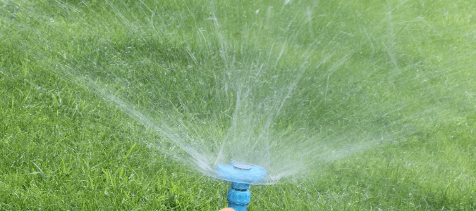 Best time to water grass in Texas