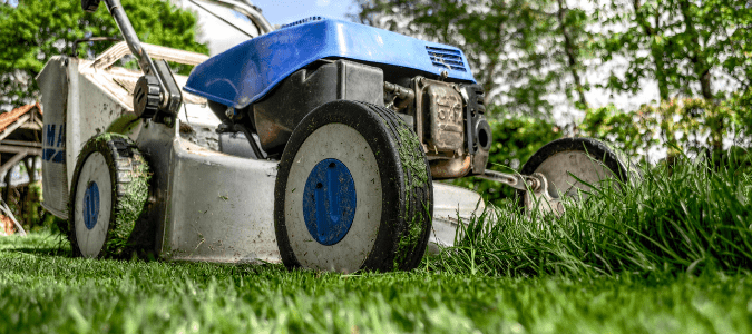 How short to cut grass in summer