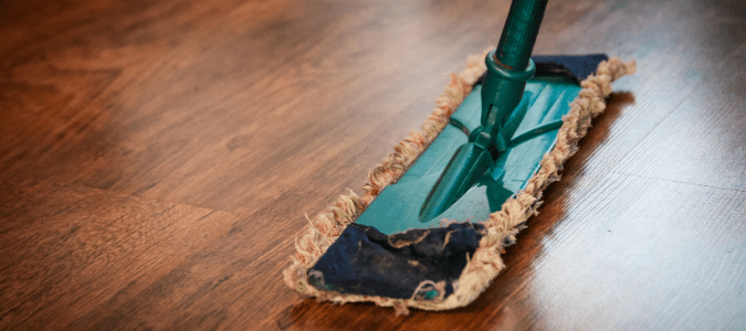 How to get rid of sugar ants home remedy