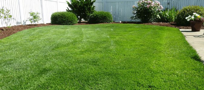 How to prevent crabgrass