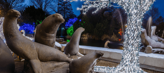 Christmas activities in San Antonio