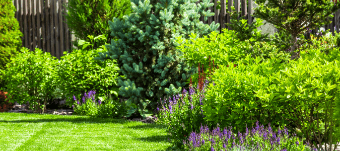 a backyard with green grass and flowers