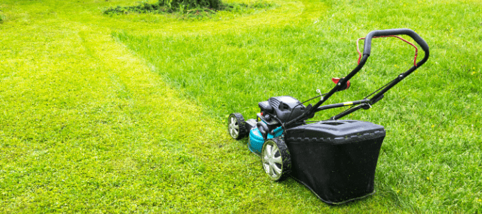 A lawn that is not finished being mowed