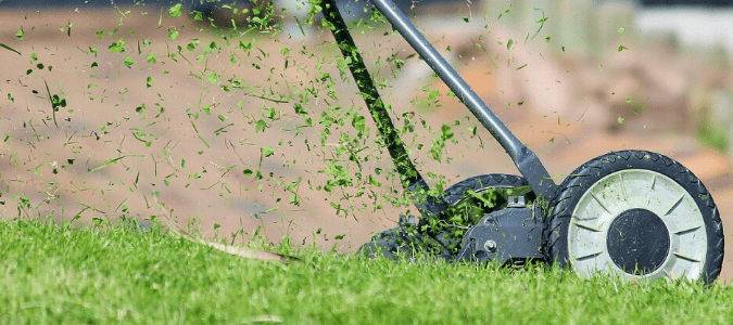 A lawn getting mowed with lawn clippings going back onto the lawn