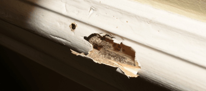 A baseboard with termite damage