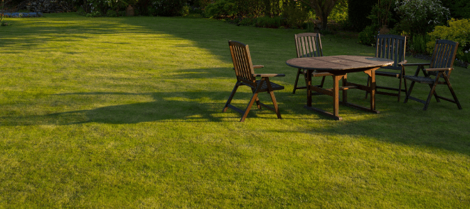 A backyard with green grass