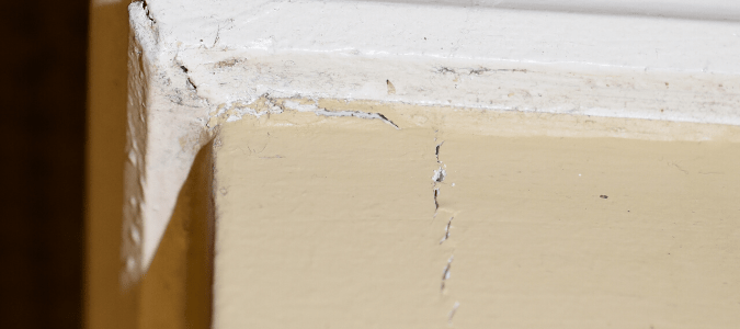 signs of termite damage in ceiling