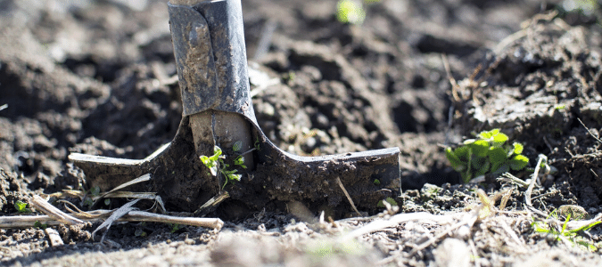 A shovel going into moist soil