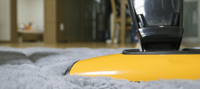 Someone vacuuming to get rid of flea eggs in the carpet