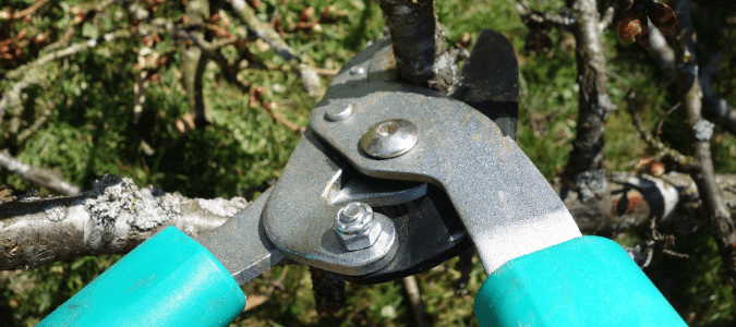 A homeowner cutting through a branch after learning how to cut tree limbs over house
