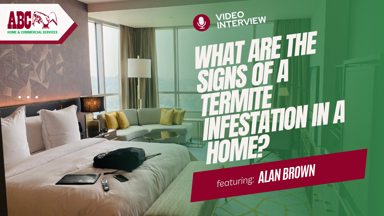 a thumbnail from the video featured in this blog