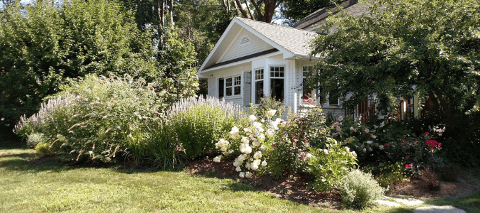 a yard where someone has successfully kept grass out of flower beds