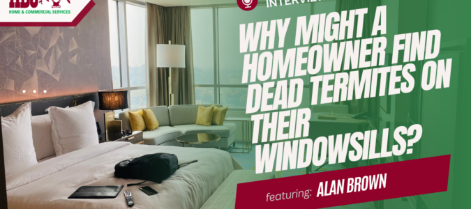 the thumbnail from the YouTube video featured in this blog