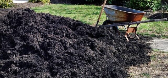 Mulching in Lawn Health