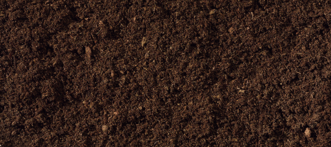 soil