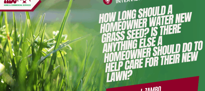 a thumbnail from the video in this post