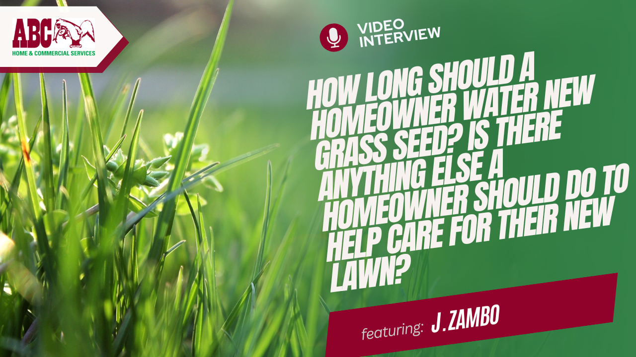 a thumbnail from the video in this post