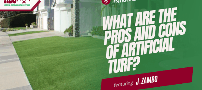 a thumbnail for the video included in this post