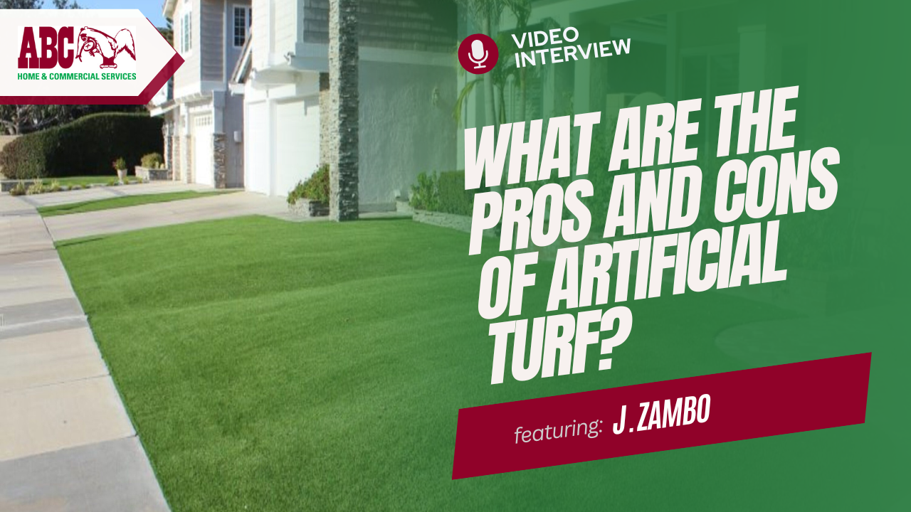 a thumbnail for the video included in this post