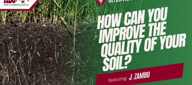 a thumbnail from the video in this blog