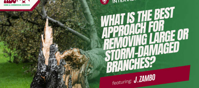 a thumbnail from the video in this blog