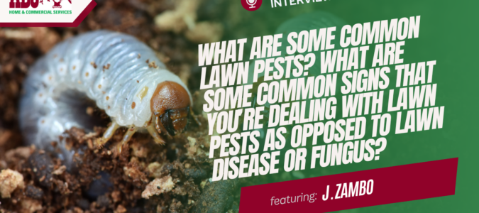 a thumbnail from the video in this blog