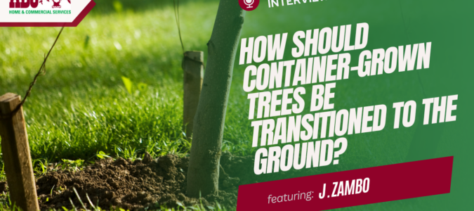 a thumbnail from the video in this post