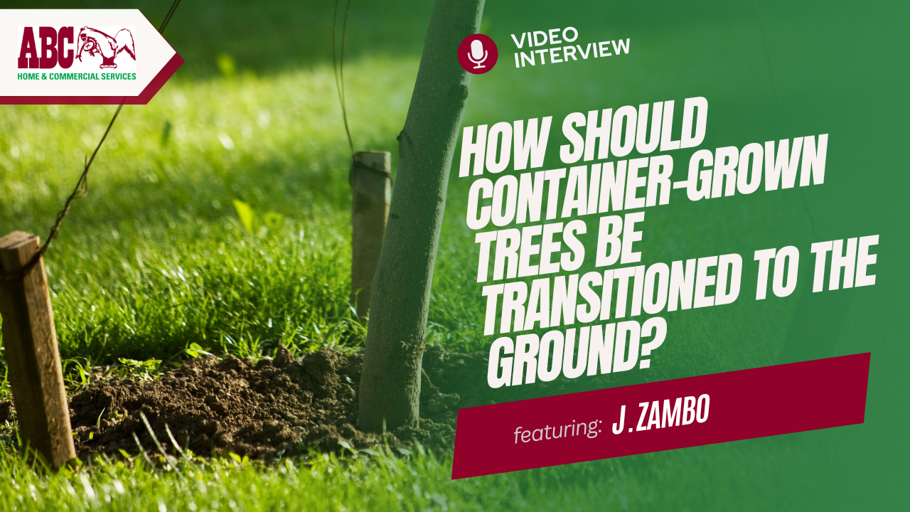 a thumbnail from the video in this post