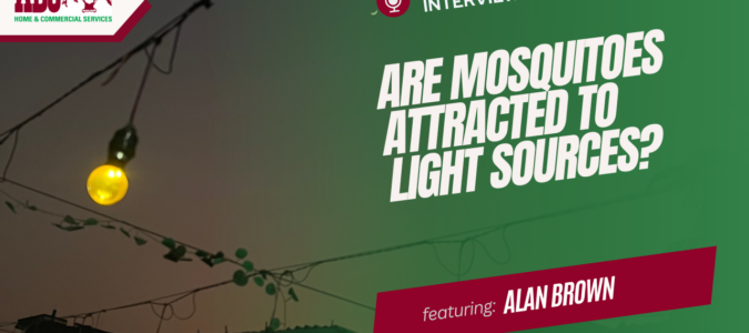 a thumbnail from the video